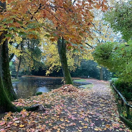 Tiny Haus Glamping - Natur Park Apartment Schlangenbad