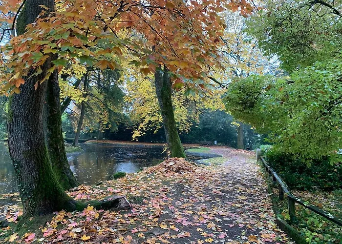 Tiny Haus Glamping - Natur Park 아파트 슈란겐바드
