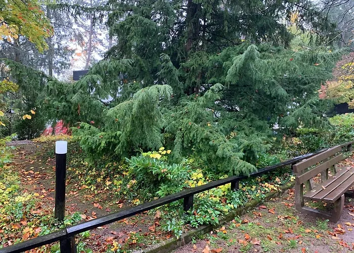 아파트 Tiny Haus Glamping - Natur Park