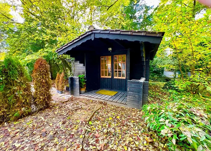 Tiny Haus Glamping - Natur Park 아파트 *