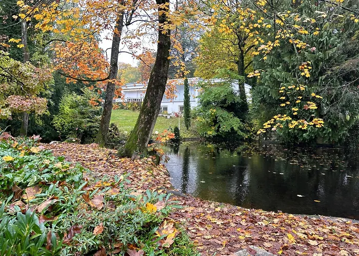 Tiny Haus Glamping - Natur Park 아파트 슈란겐바드